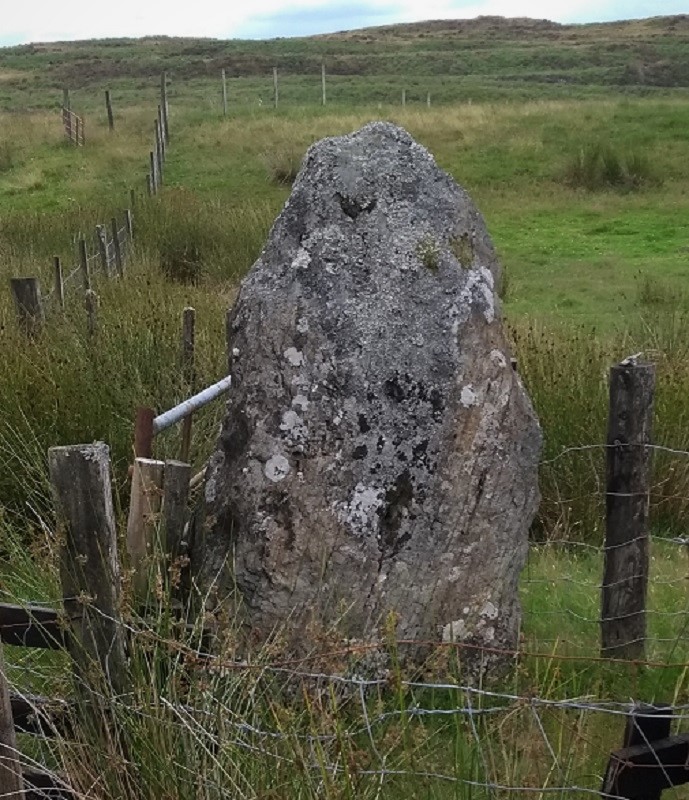 Cefn Gwenffrwd Maenhir