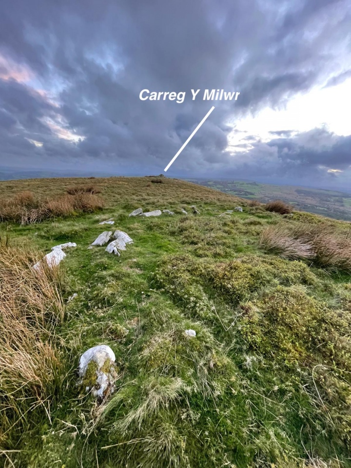 Carreg y Milwr Stone Ring