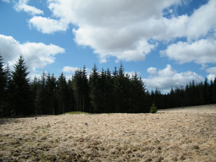 Click for the gallery page to add comments and vote (PID:65430) Cefn Gwernffrwd stone circle