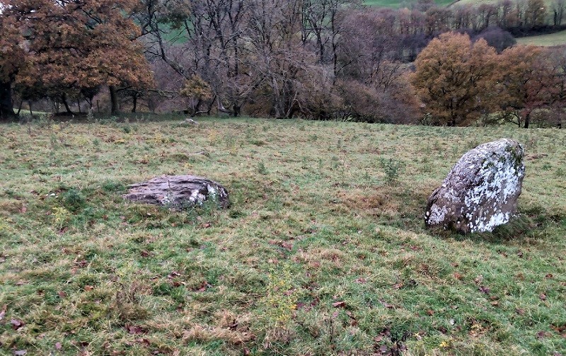 Click for the gallery page to add comments and vote (PID:219913) Allt ynys-y-Bordeau Stone Circle (possible)