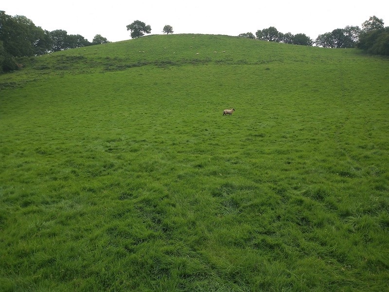 Dinas Bach (Cilycwm)