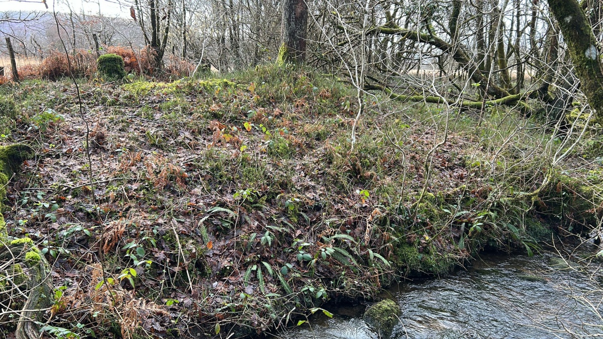 Cwmffrwd burnt mound