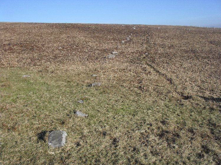 Mynydd y Betws