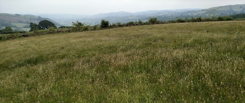 Click for the gallery page to add comments and vote (PID:212641) Cefn Pâl North Defended Enclosure