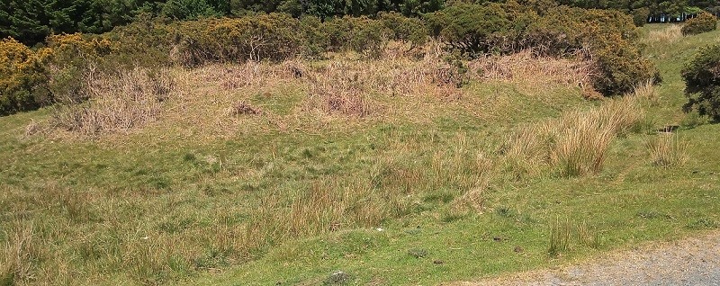 Clywyd Watsh Defensive Enclosure