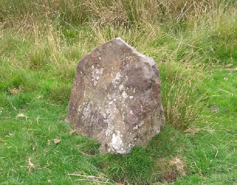 Randirmwyn Standing Stone