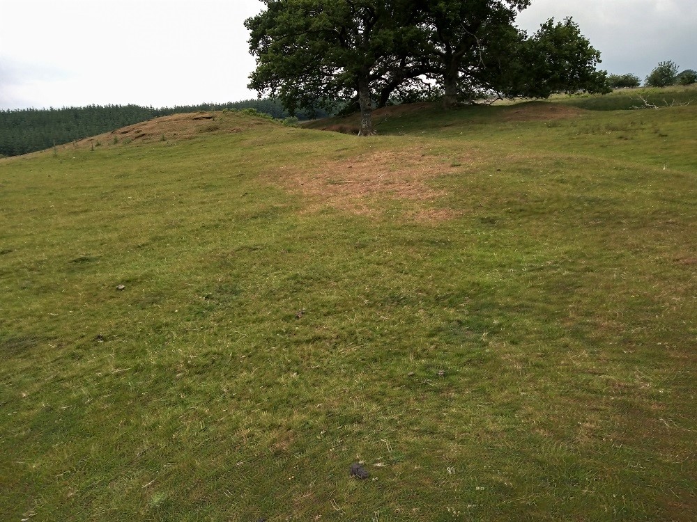 Click for the gallery page to add comments and vote (PID:212639) Cefn Pâl South Defended Enclosure
