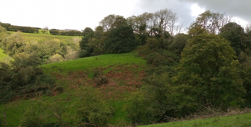 Click for the gallery page to add comments and vote (PID:215126) Parc-y-Gaer