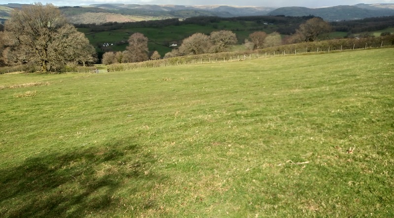 Click for the gallery page to add comments and vote (PID:224960) Llwynmeredydd Defended Enclosure