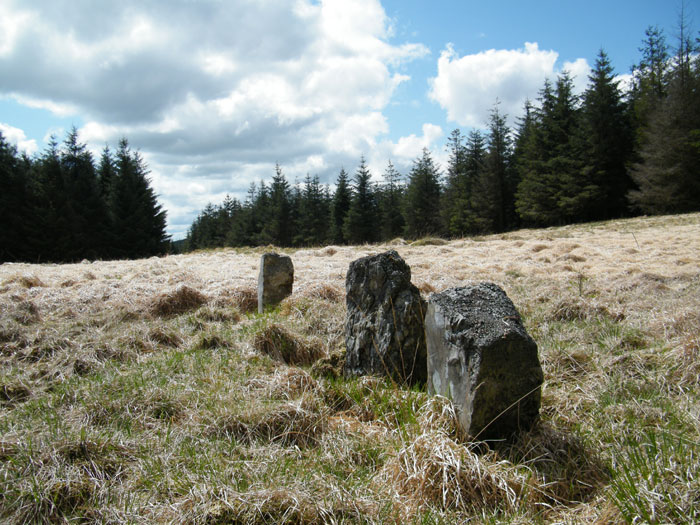 Cefn Gwernffrwd Row