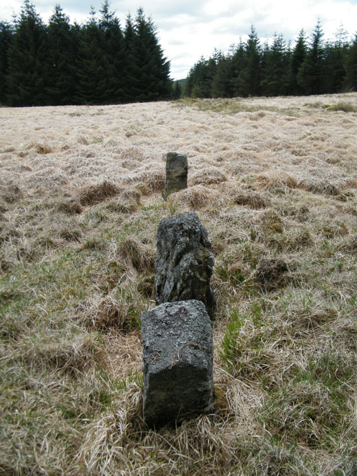 Click for the gallery page to add comments and vote (PID:57529) Cefn Gwernffrwd Row