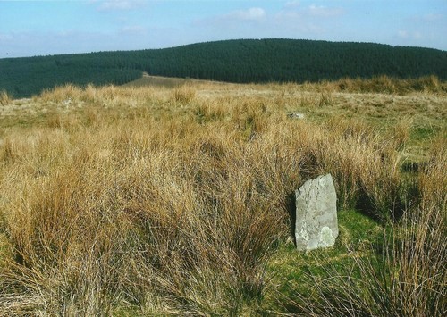 Click for the gallery page to add comments and vote (PID:102781) Cerrig Cynant