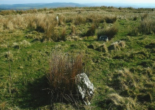 Click for the gallery page to add comments and vote (PID:102782) Cerrig Cynant