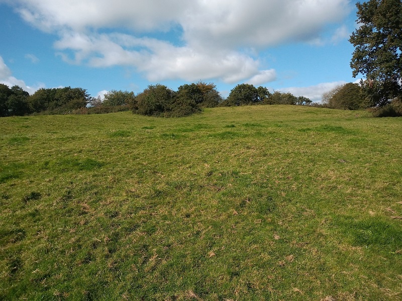 Maesgwyn Fort