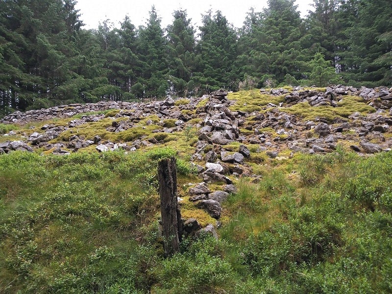 Click for the gallery page to add comments and vote (PID:213224) Carn Wen (Rhandirmwyn)
