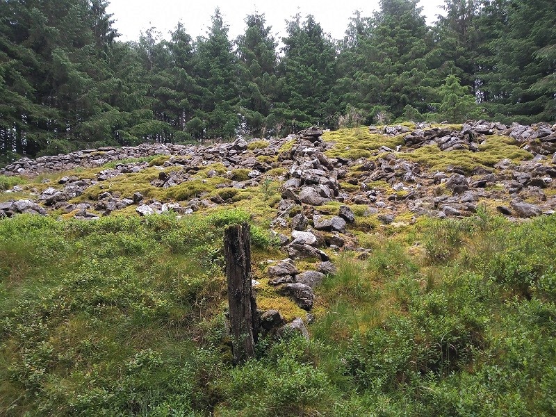 Carn Wen (Rhandirmwyn)