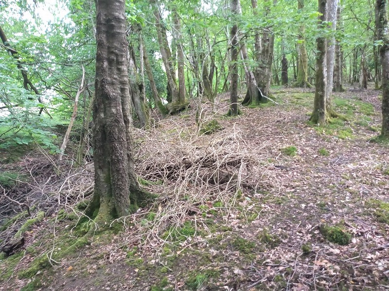 Click for the gallery page to add comments and vote (PID:212898) Ynys Y Borde Earthwork