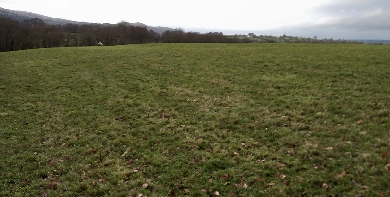 Visible only as a mound in the middle of a grassy field. Without accurate GPS one would not identify it.