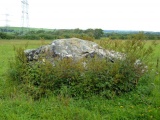 Gors Llangynog - PID:37827