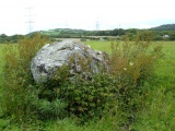Gors Llangynog - PID:37828