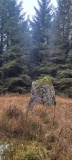Mynydd Myddfai Stones