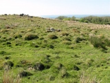 Carregdwfn Round Cairn - PID:76489
