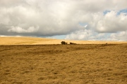 Bannau Sir Gaer - PID:146907