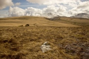 Bannau Sir Gaer - PID:146908