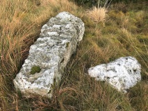 Carreg Craig y Moch - PID:236540