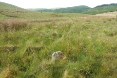 Crug Siarls
