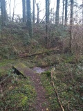 Ffynnon y Wern