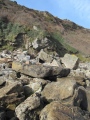Morfa Bychan - PID:193836