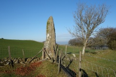 Hirfaen Gwyddog - PID:220576