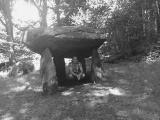 Gwal y Filiast - PID:135994