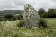 Meini Llwydion, Llangynog - PID:29141