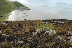 Morfa Bychan