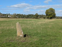 Llanddowror Standing stone