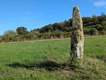 Llanddowror Standing stone