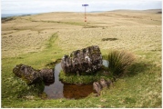 Arhosfar Garreg-Lwyd - PID:209468