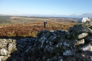 Crugiau Merched, Cairn 1 - PID:220751