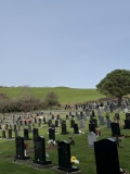 Cwm Capel Mound