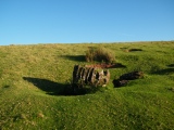 Arhosfar Garreg-Lwyd - PID:67412