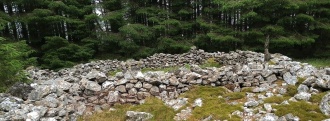 Carn Wen (Rhandirmwyn) - PID:213225