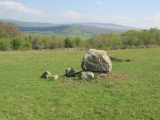 Boulder in middle of field above Pant-y-Llyn - PID:240449