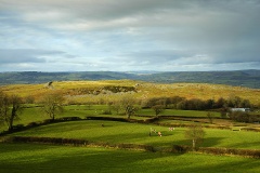 Carn Goch (Carmarthenshire)