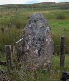 Cefn Gwenffrwd Maenhir - PID:200782