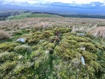 Carreg y Milwr Stone Ring - PID:312642