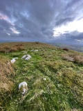 Carreg y Milwr Stone Ring - PID:312641