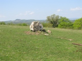 Pant-y-Llyn Boulder - PID:240494