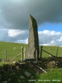 Hirfaen Gwyddog - PID:10950